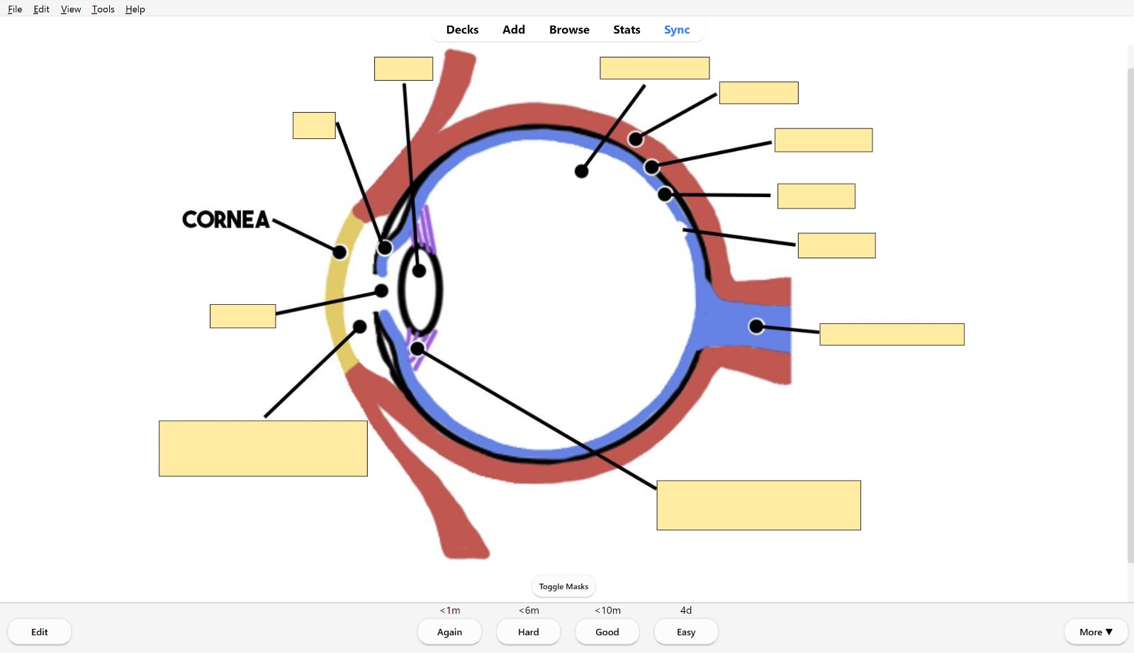 PSY100 deck being used in Anki.